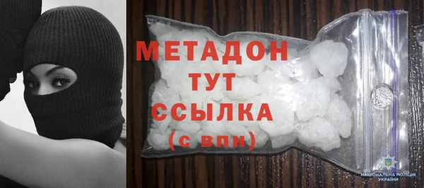 дживик Ельня