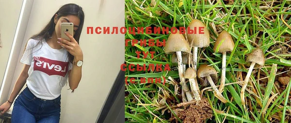 дживик Ельня