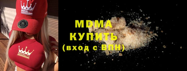 дживик Ельня