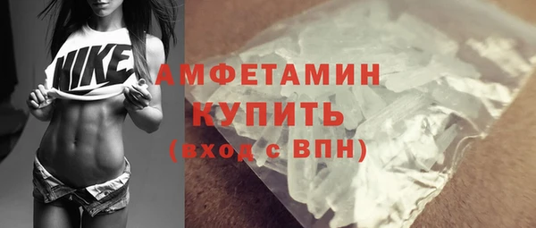 дживик Ельня