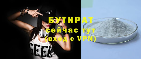 дживик Ельня