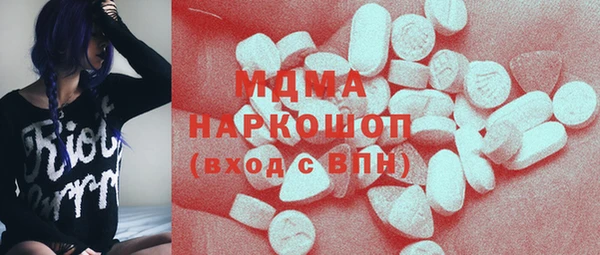 дживик Ельня