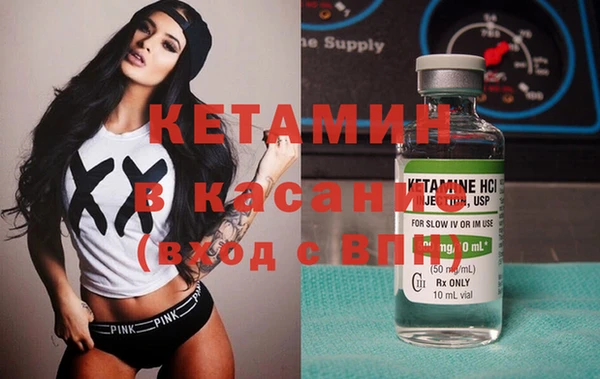 дживик Ельня