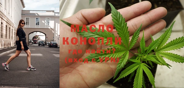 дживик Ельня