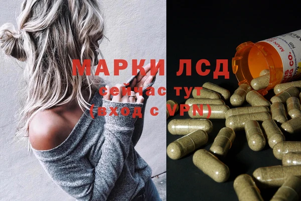 гидропоника Елабуга