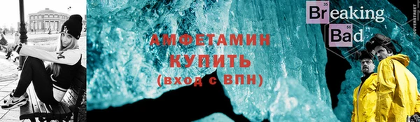 дживик Ельня