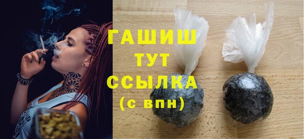 дживик Ельня
