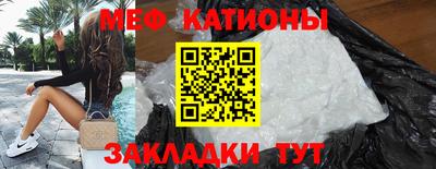 шишки Дубна