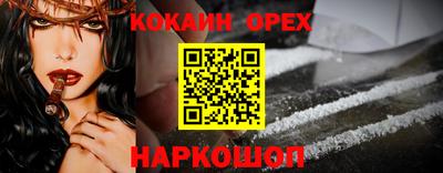 шишки Дубна