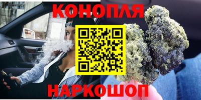 шишки Дубна