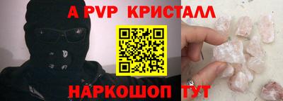шишки Дубна