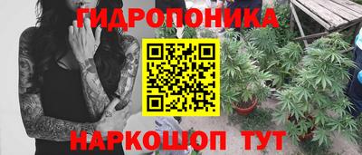 крисы Донской
