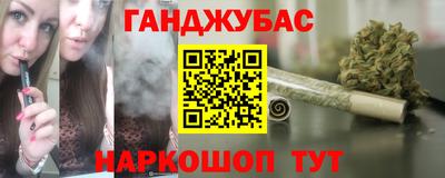 шишки Дубна