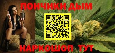 шишки Дубна