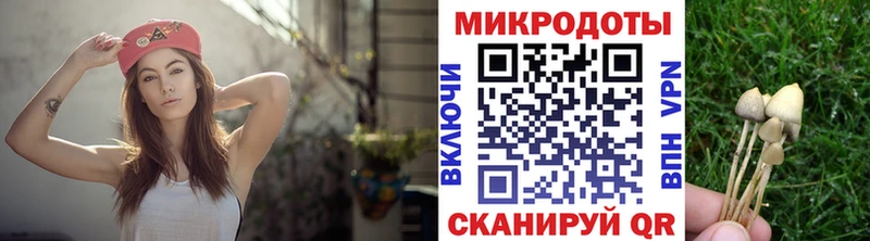 Псилоцибиновые грибы Cubensis  Ишимбай 