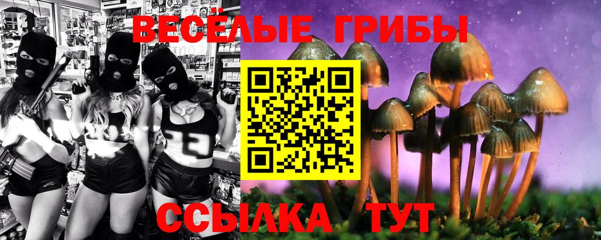 Псилоцибиновые грибы Magic Shrooms  Вход с VPN  Галлюциногенные грибы Psilocybe  Ишимбай 