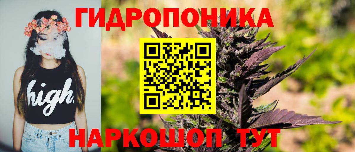 Каннабис ГИДРОПОН  МАРИХУАНА сатива  Бошки Шишки семена  Бошки марихуана план  Ишимбай 